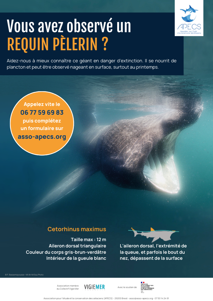 Programme national de recensement des observations de requins pèlerins
